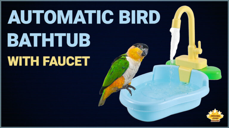 Automatic Bird Bathtub with Faucet | Original Video Reviews