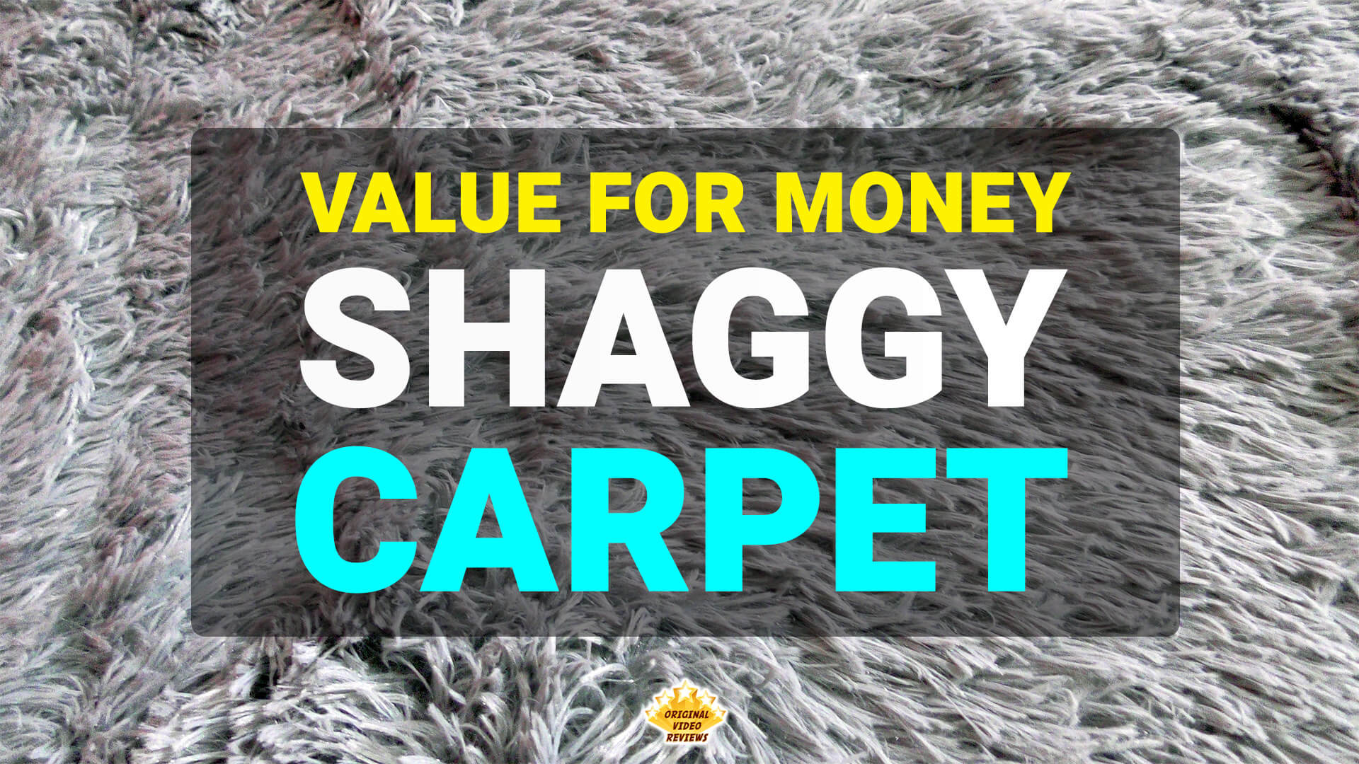 Close-up of a silver-gray shaggy carpet. The foreground features a black, semi-transparent background with the text 'Value for Money Shaggy Carpet' in bold white letters. Below the text is a small logo for Original Video Reviews.